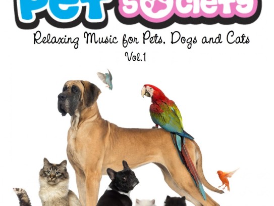  Patty's Pet Palace: The Ultimate Guide to Pet-Friendly Living